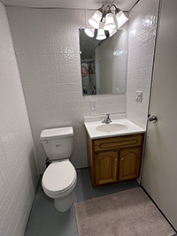 a shower and a sink in a small room